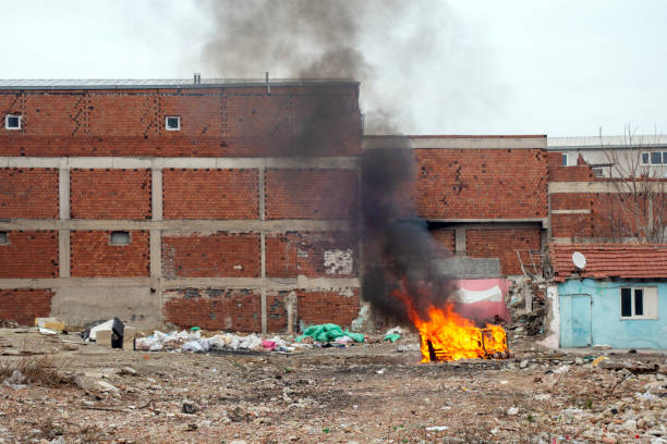 Trusted Mold Remediation